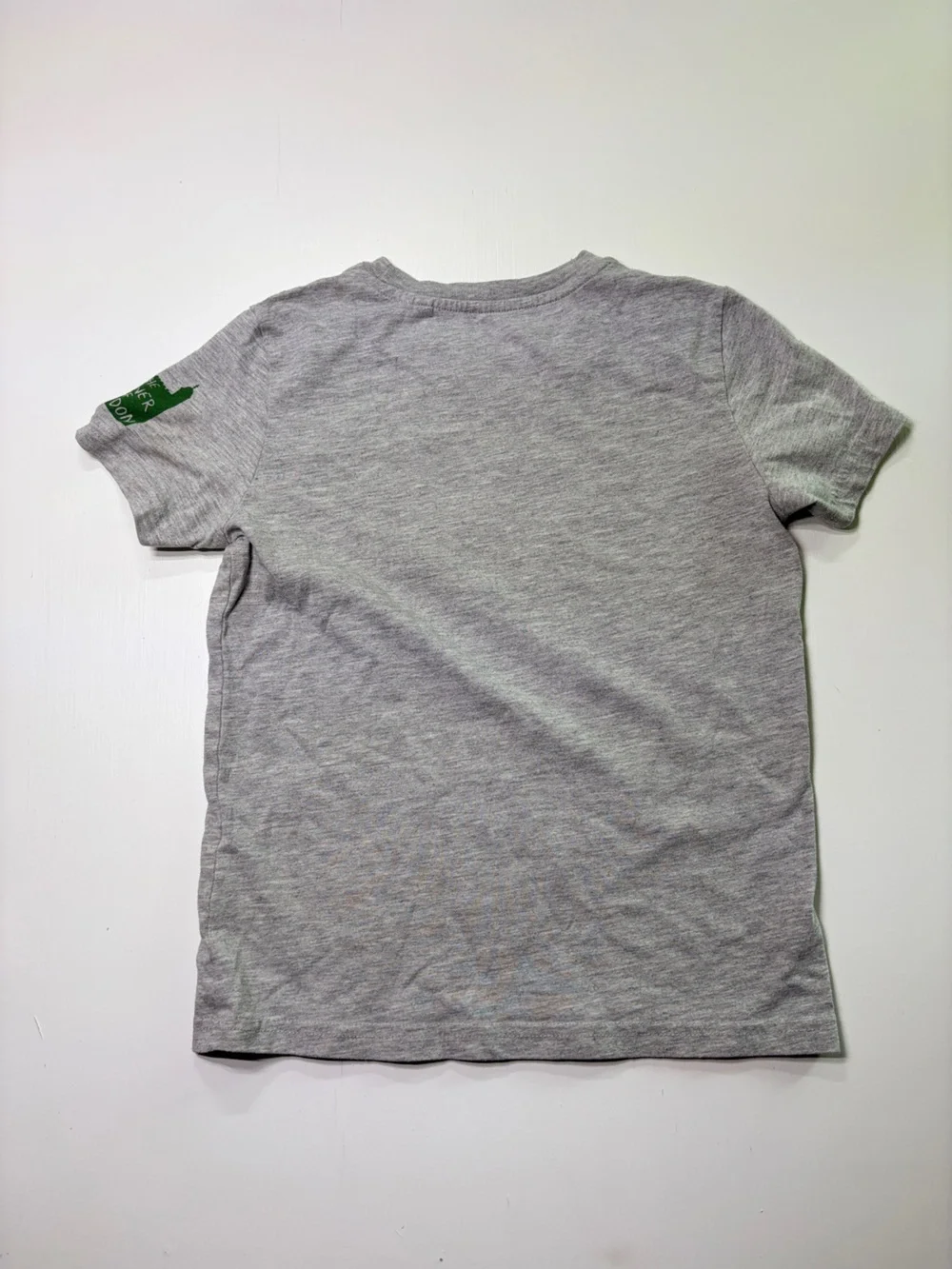 Historic Royal Palaces Tower of London Dragon Tee Kids 7-8Y Gray